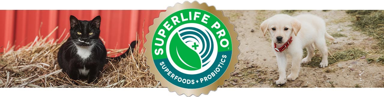 A black cat and tan puppy look at the camera.  In middle Superlife Pro logo